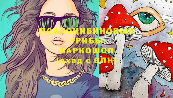 трава Сосновка