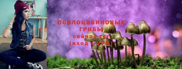 кокаин премиум Алексеевка