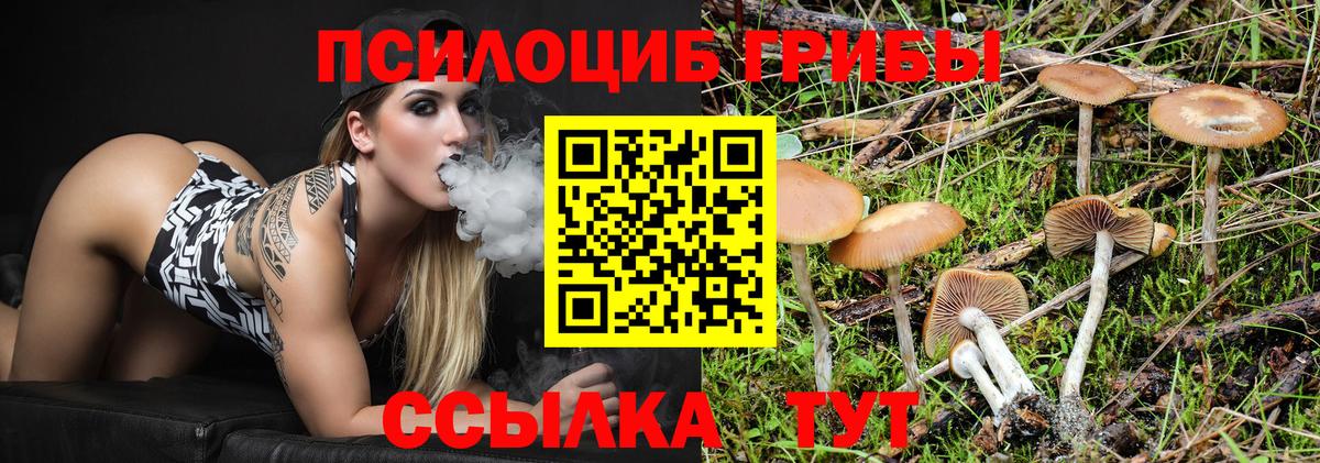Псилоцибиновые грибы GOLDEN TEACHER Анапа
