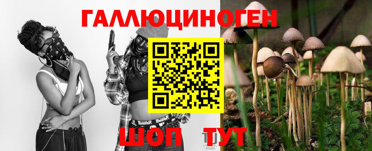 где продают   Галлюциногенные грибы Cubensis  Анапа  Вход с VPN  Псилоцибиновые грибы GOLDEN TEACHER 